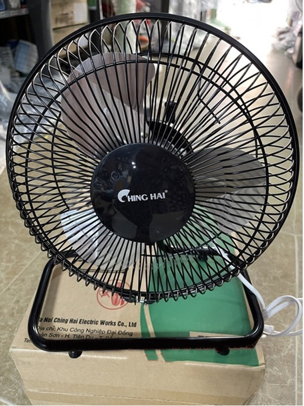 ching_hai_ff910_4