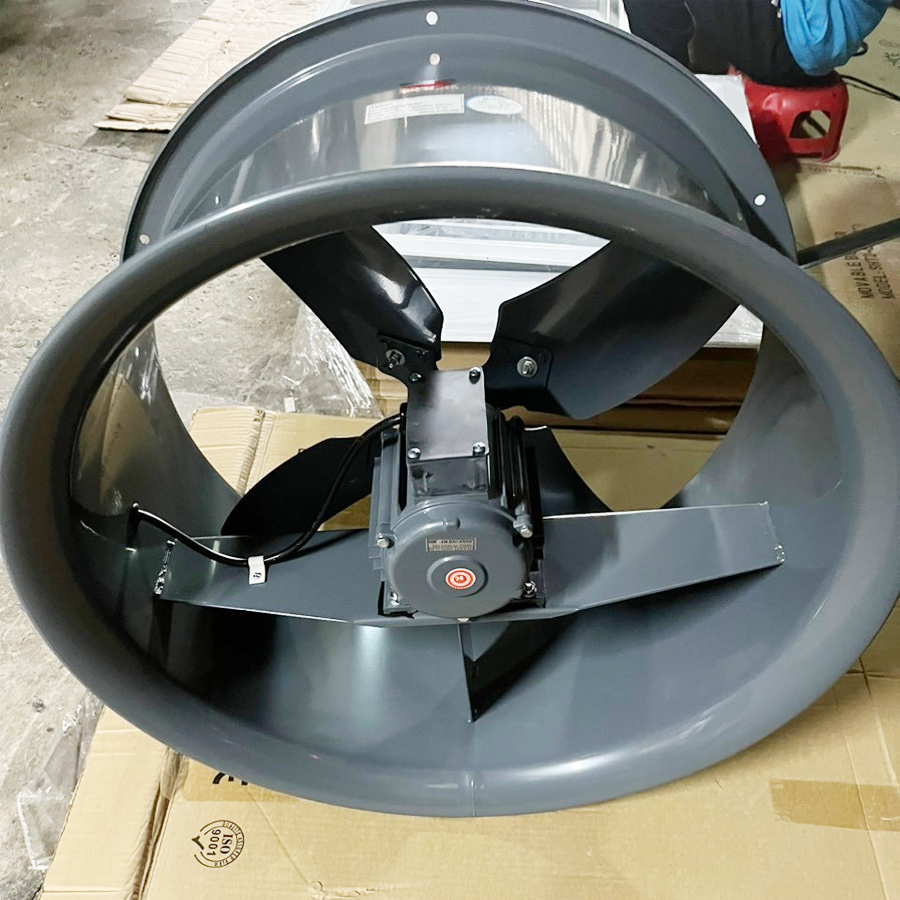 deton_dft5b-4