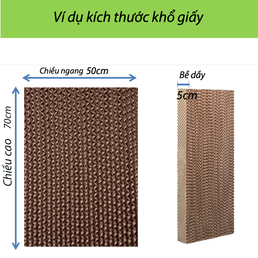 kich_thuoc_kho_giay