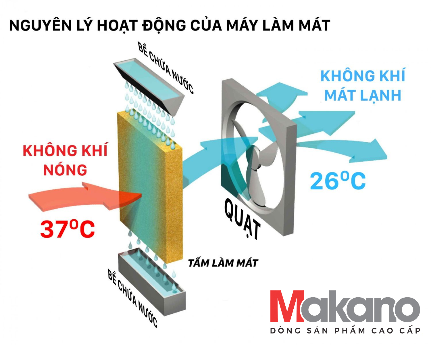 nguyen_ly_hoat_dong_tam_lam_mat_makano