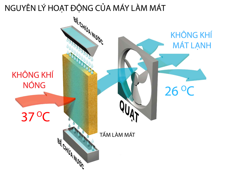 nguyen_ly_hoat_ong_cua_may_lam_mat_afan