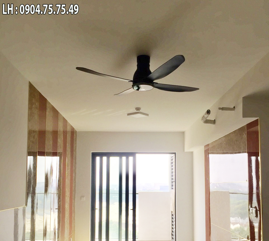quat_tran_4_canh_kdk_w56wv