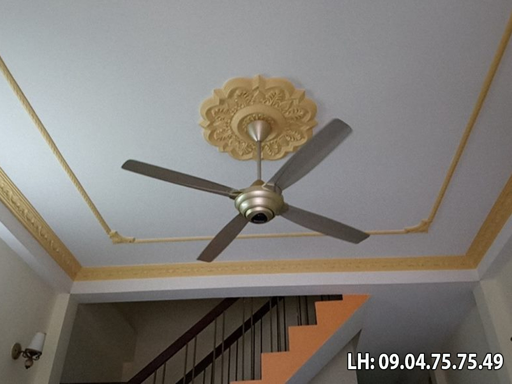 quat_tran_4_canh_panasonic_f-56mzg-go