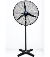 Quạt đứng công nghiệp Hawin Power HH-HWS600